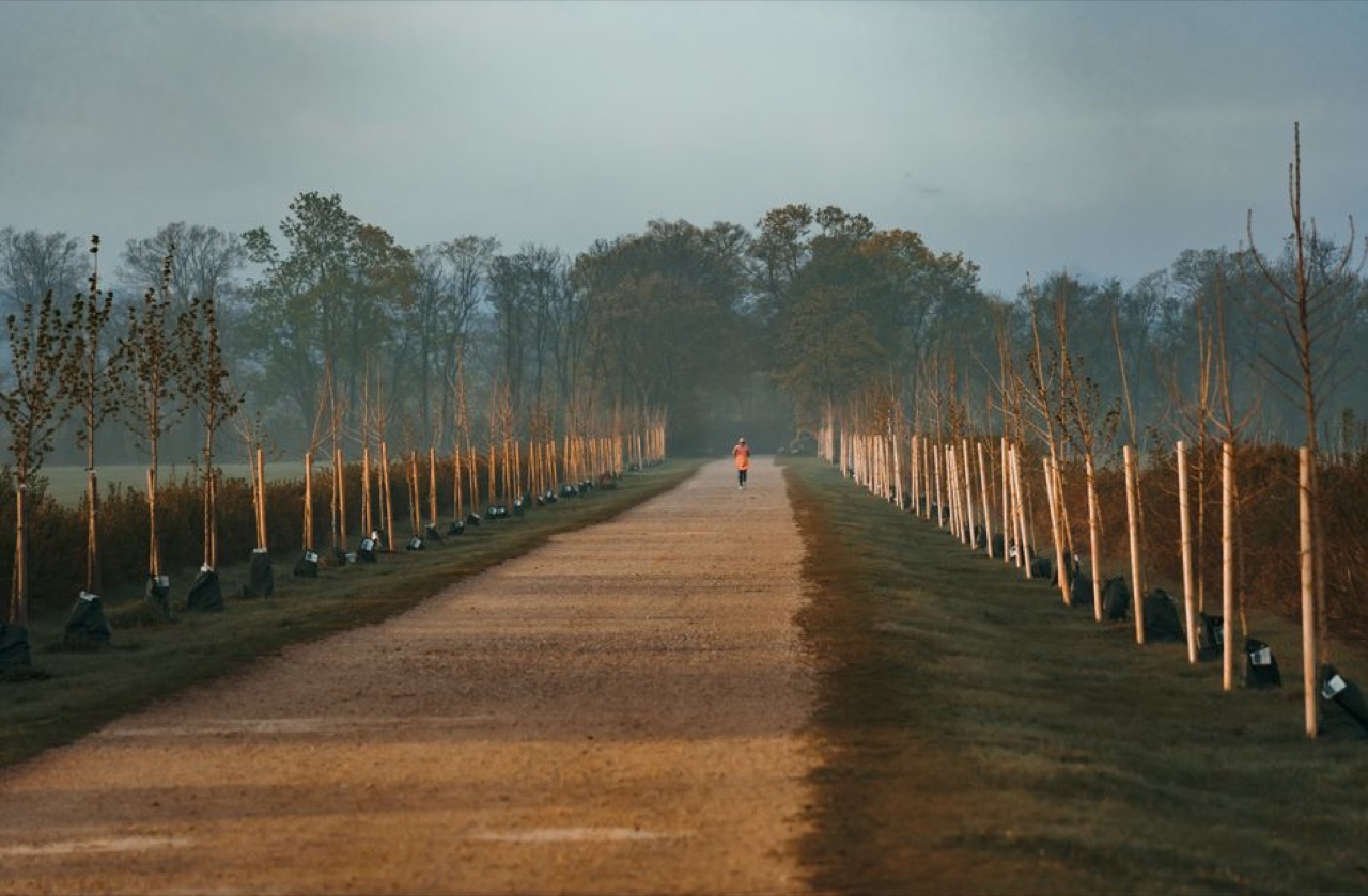 Person jogging sunrise - How to join a medical aid in South Africa: steps, documents and what to expect